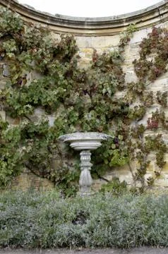 Stone bird-bath Stock Photos