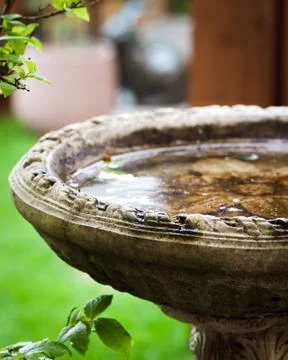 Stone birdbath Stock Photos