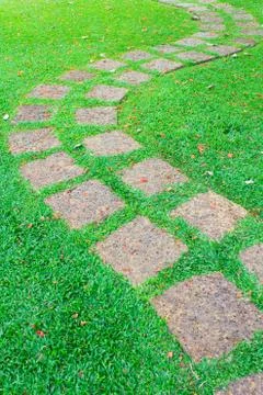 The stone block pathway in the backyard Stock Photos