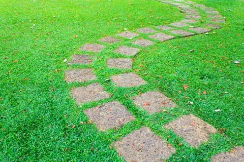 The stone block pathway in the backyard Stock Photos
