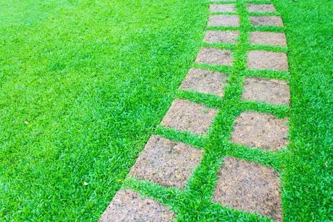 The stone block pathway in the backyard Stock Photos