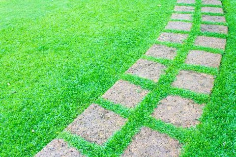 The stone block pathway in the backyard Stock Photos