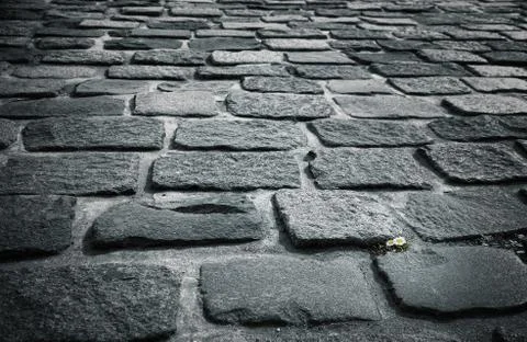 Stone block pavement Stock Photos