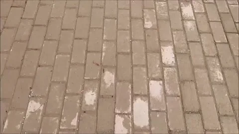 Stone block pavement time- warp video Stock Footage 171232153