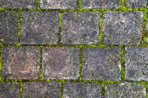 Stone block walk path background Stock Photos