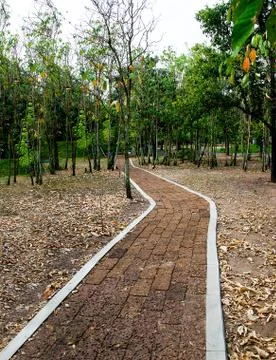 Stone block walk path in the park Stock Photos