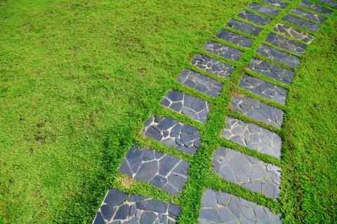 The stone block walk path in the park with green grass background Foto stock
