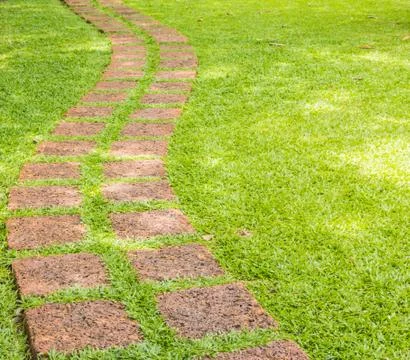 The stone block walk path in the park with green grass background. Stock Photos