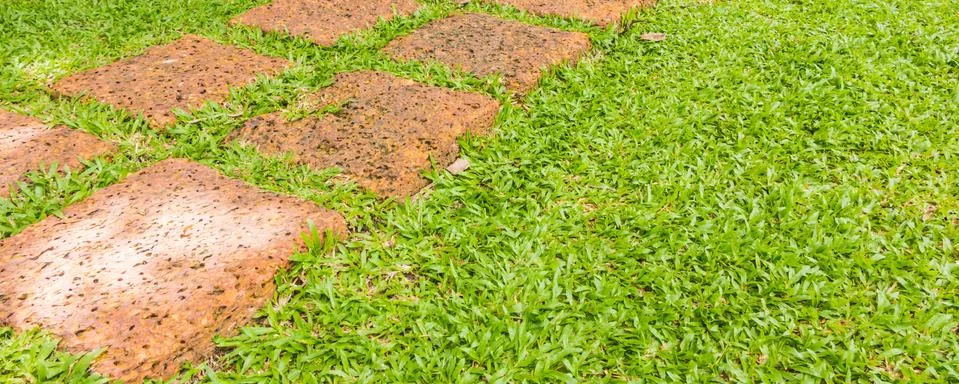 The stone block walk path in the park with green grass background. Stock Photos