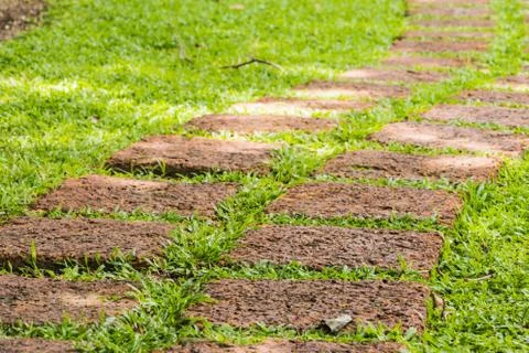The stone block walk path in the park with green grass background. Stock Photos