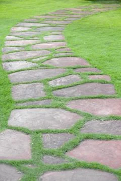 The Stone block walk path in the park with green grass background Foto stock