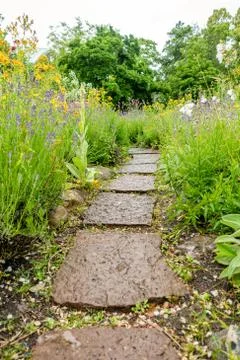 The Stone block walk path in the park with green grass background Stock Photos