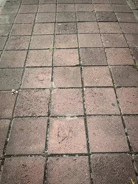 Stone blocks and paths in the park. 写真素材