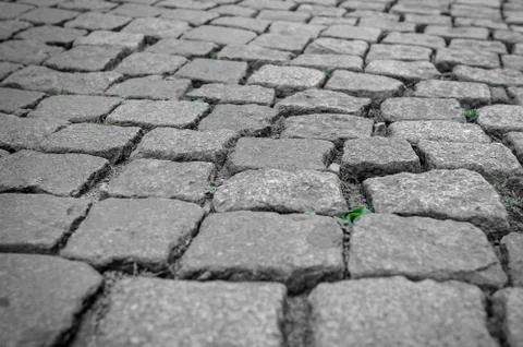 Stone blocks closeup. Stock Photos