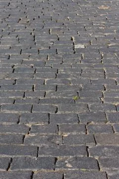 Stone Blocks in the Red Square 写真素材