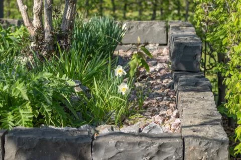 Stone border frames lush greenery and blooming white flowers Stock Photos