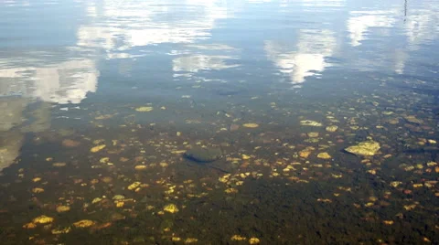 Stone bottom of the lake 10 Stock-Footage 42125879