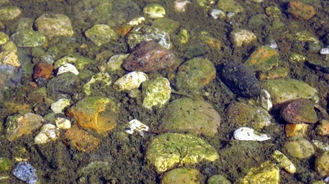 Stone bottom of the lake 2 库存影片 42125947