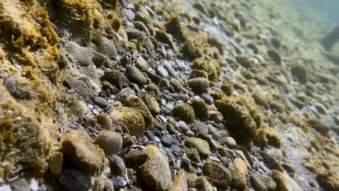 Stone bottom of the lake with algae and sun glare Stock Footage 125992413