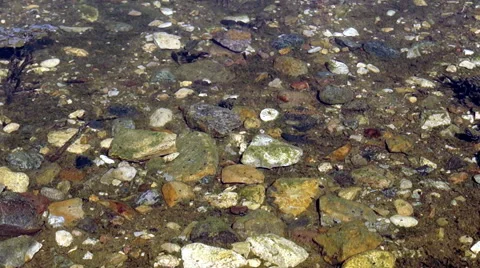 Stone bottom of the lake Video stock 42125905
