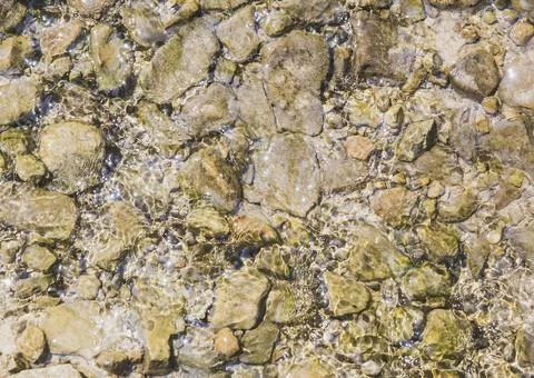 Stone bottom in a mountain stream with clean water Stock Photos