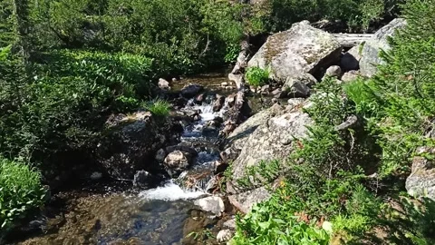 Stone boulders block the bed of a mountain stream and flow down Stock Footage 321943822