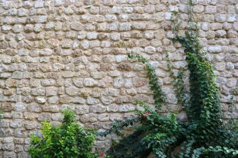 Stone brick wall Stock Photos