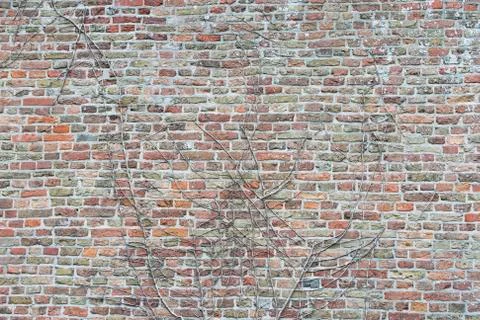 Stone brick wall Stock Photos