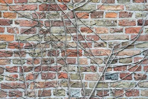 Stone brick wall Stock Photos
