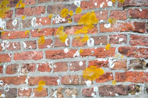 Stone brick wall Photos