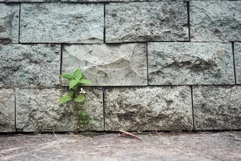 Stone bricks Stock Photos