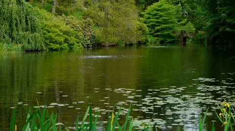 Stone Bridge and Pond Video stock 24141025
