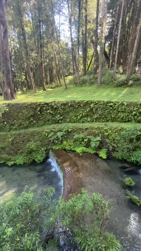 Stone Bridge and Stream in Lush Mountain Forest Vídeos de archivo 340264025