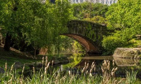 Stone Bridge in Central Park Stock Photos