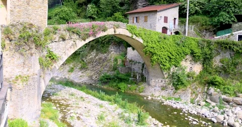 Stone bridge covered with vegetation over an almost dry river Stock Footage 219392776