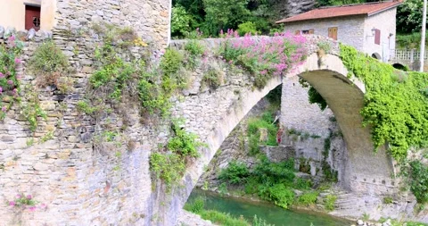 Stone bridge covered with vegetation over a river of calm waters Stock Footage 219393101