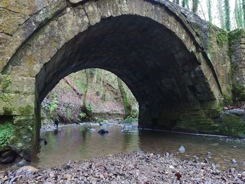 Stone Bridge 库存影片 71265613