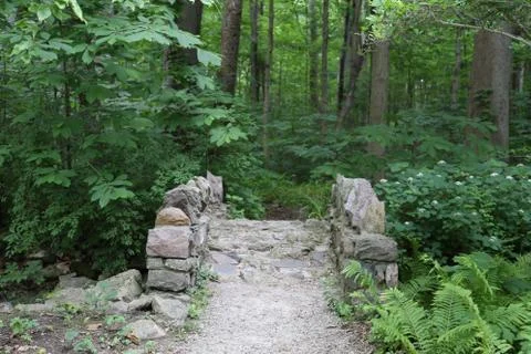 Stone Bridge in the forest Stock Photos