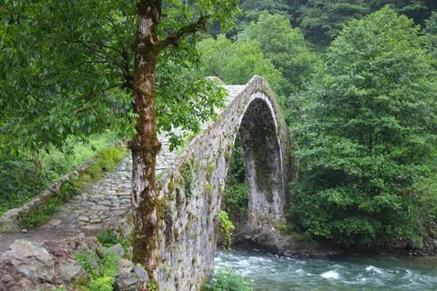 Stone bridge in the forest Stock Photos