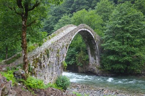 Stone bridge in the forest Stock Photos