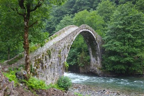 Stone bridge in the forest Stock Photos