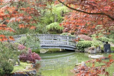 Stone bridge framed by the foliage. Stock Photos