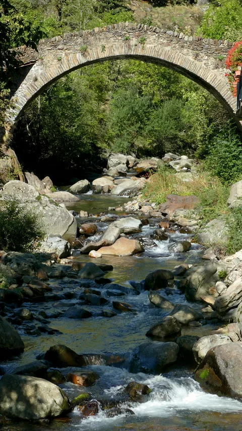 Stone bridge in a mountain river on the mountains of Pyrenees of Catalonia. Video stock 170577577