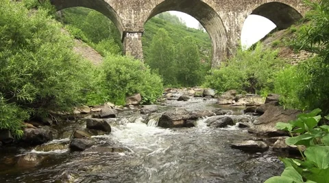 Stone bridge over the brook Stock Footage 49463107