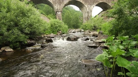 Stone bridge over the brook Video stock 49463123