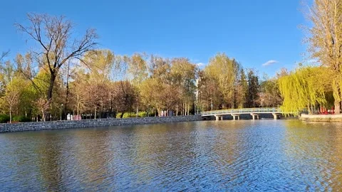 Stone Bridge over Calm Pond with Trees in Spring 動画素材 335436165