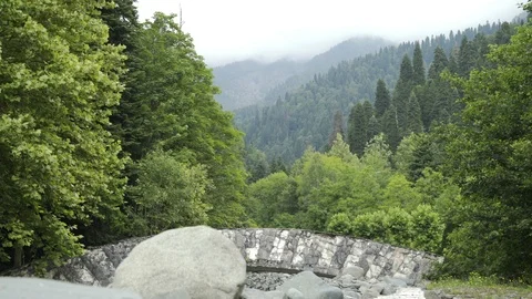 Stone bridge over a mountain river the middle of mountainous forest with trees 스톡 동영상 115399637