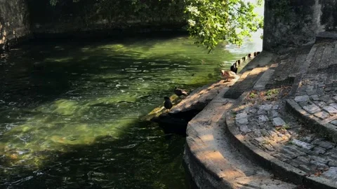 A stone bridge over a river Stock Footage 155357603