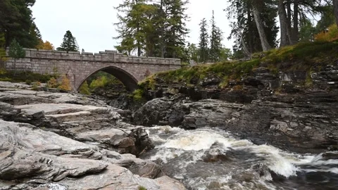 Stone bridge over Stream Stock Footage 165303666