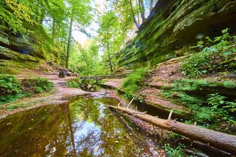 Stone Bridge Over Stream in Lush Gorge Ohio Eye Level View Stock Photos
